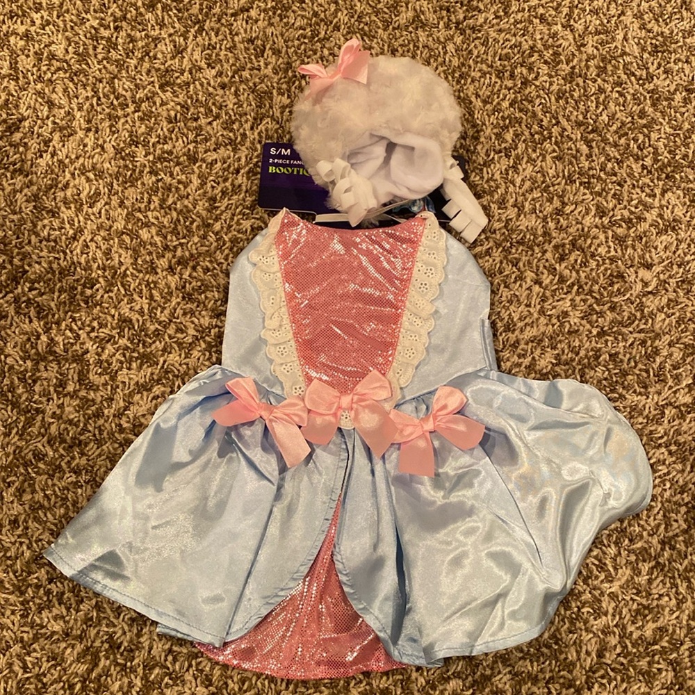 Fancy cat costume